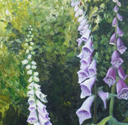 Helen Anne Hillson - Foxglove 2010